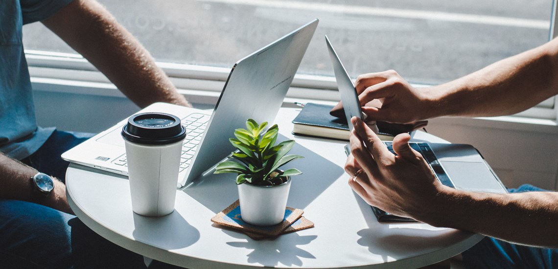 people working at coffee table on laptops with coffee cup and indoor plant pot