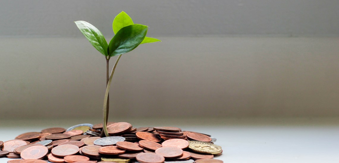 money tree growing from pile of coins